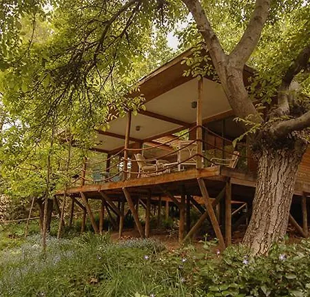 Cabanas Nogalia